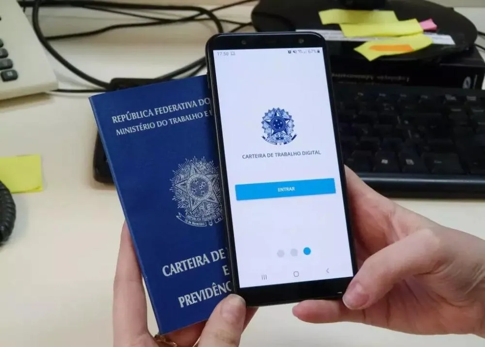 Divulgação