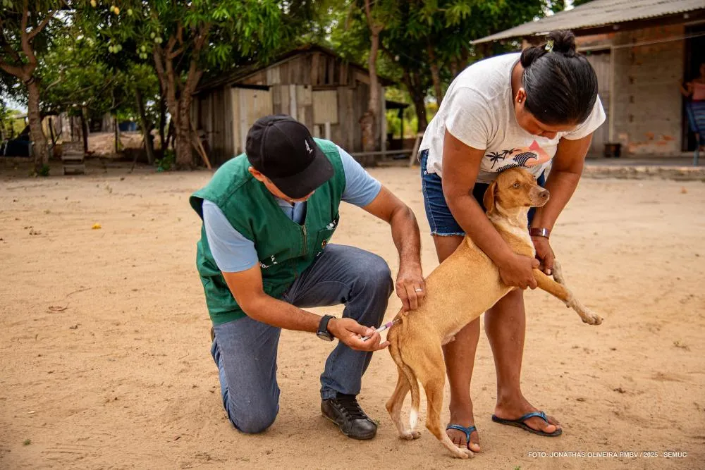 Prefeitura de Boa Vista intensifica vacinação antirrábica itinerante na zona rural